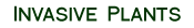 invasive_plants